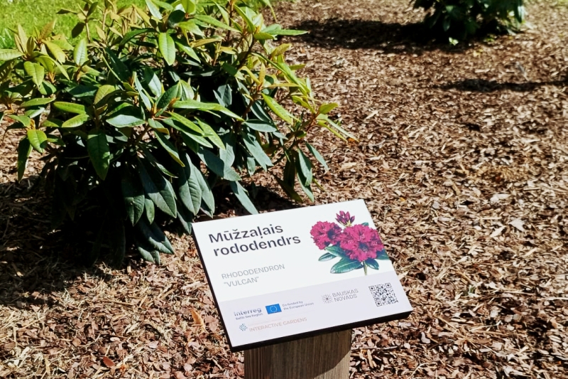 Educational information stand in garden about rhododendrum.