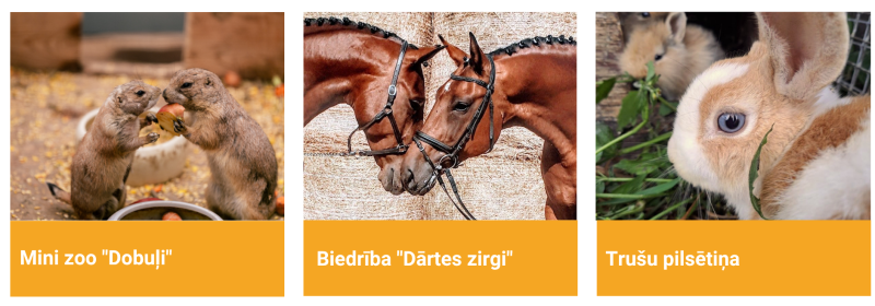 Mini zoo ‘Dobuļi’, biedrība ‘Dartes zirgi’ un ‘Trušu pilsētiņa’ – dzīvnieku apskates vietas Bauskas novadā