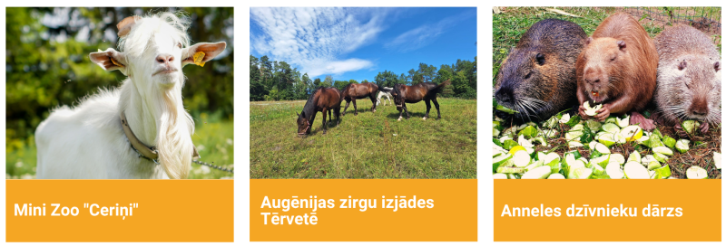“Mini zoo ‘Ceriņi’, Augēnijas zirgu izjādes Tērvetē un Anneļes dzīvnieku dārzs – dzīvnieku un lauku tūrisma piedāvājums Dobeles novadā