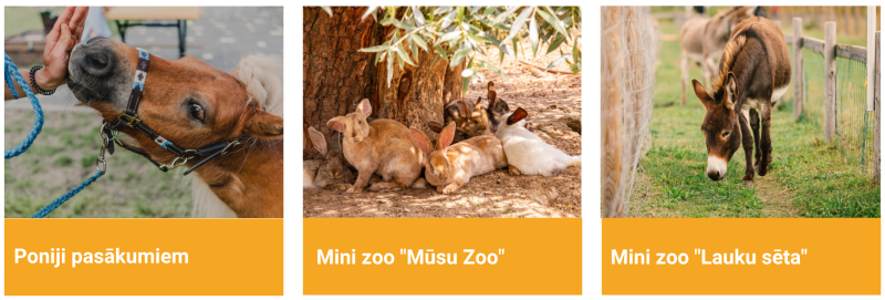 ‘Poniji pasākumiem’, mini zoo ‘Mūsu Zoo’ un mini zoo ‘Lauku sēta’ – dzīvnieku apskates un atpūtas vietas Jelgavas novadā.
