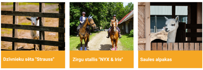 Dzīvnieku sēta ‘Strauss’, zirgu stallis ‘NYX & Iris’ un ‘Saules alpakas’ – dzīvnieku un aktīvās atpūtas piedāvājums Jēkabpils novadā.