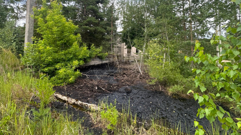 Degradēta teritorija Aizkrauklē pie bijušajām bitumena tvertnēm, ko projekta “Urban Meadows” ietvaros paredzēts atjaunot. Attēlā redzama ar melnu bitumena masu klāta zeme, ko ieskauj koki un krūmāji.