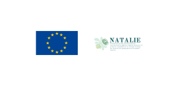 Natalie logo