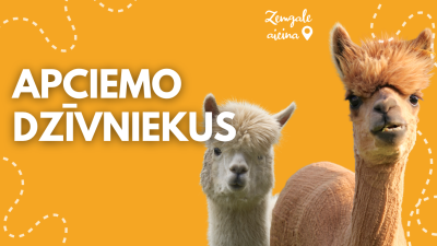 web_ZA_apciemodzivniekus