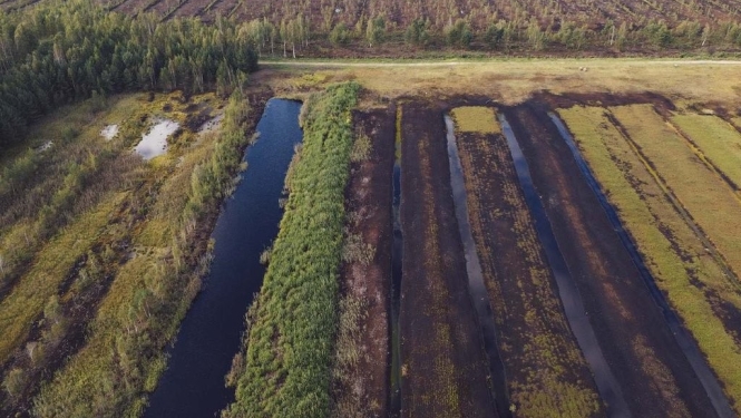 Foto ar kūdras lauku