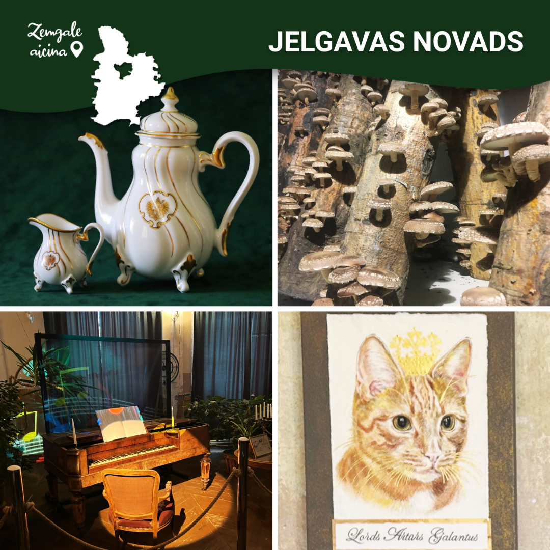 JELGAVAS N