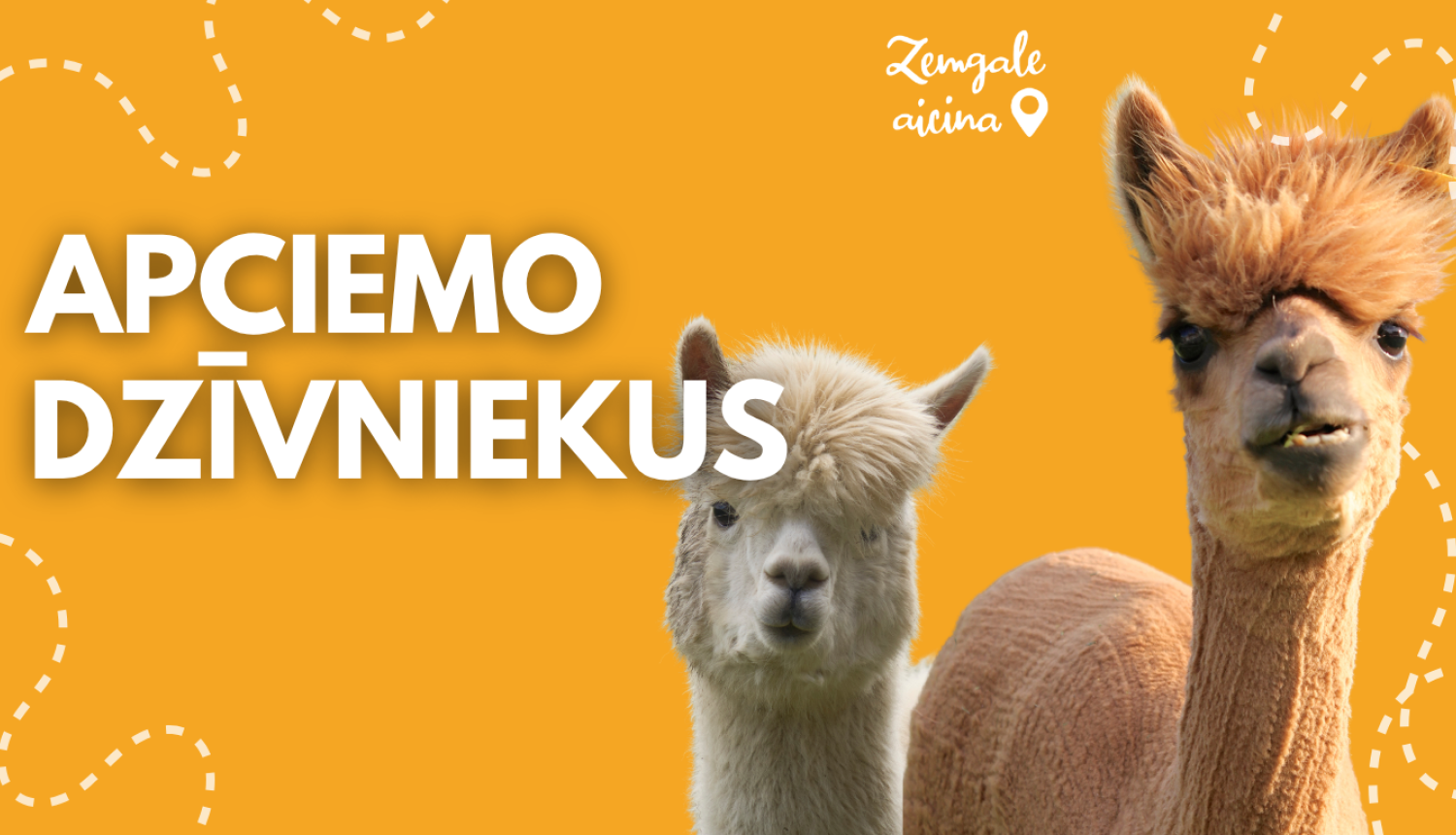 web_ZA_apciemodzivniekus