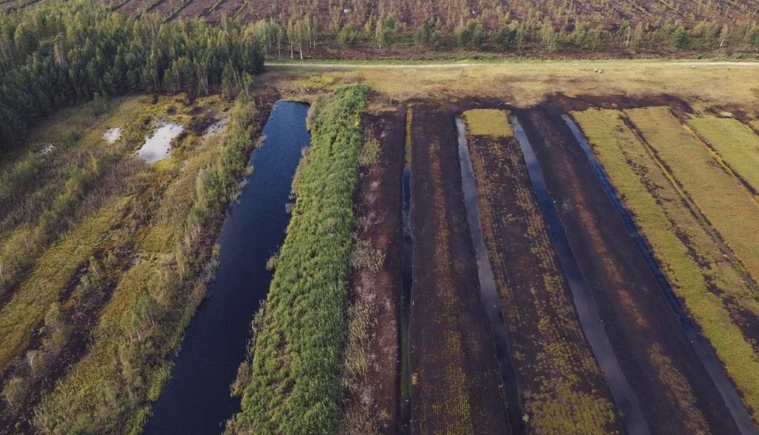 Foto ar kūdras lauku