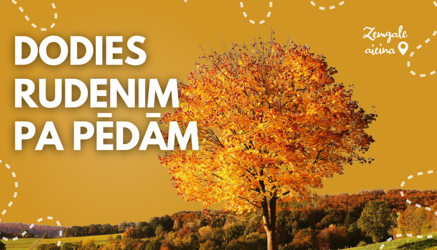 Rudens ainava ar koši oranžu lapu koku un mežainiem pakalniem fonā. Uz attēla redzams uzraksts “Dodies rudenim pa pēdām” un “Zemgale aicina” logo.