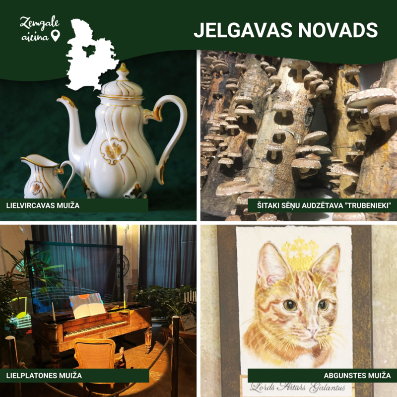 uzmini vietu_jelgavas n