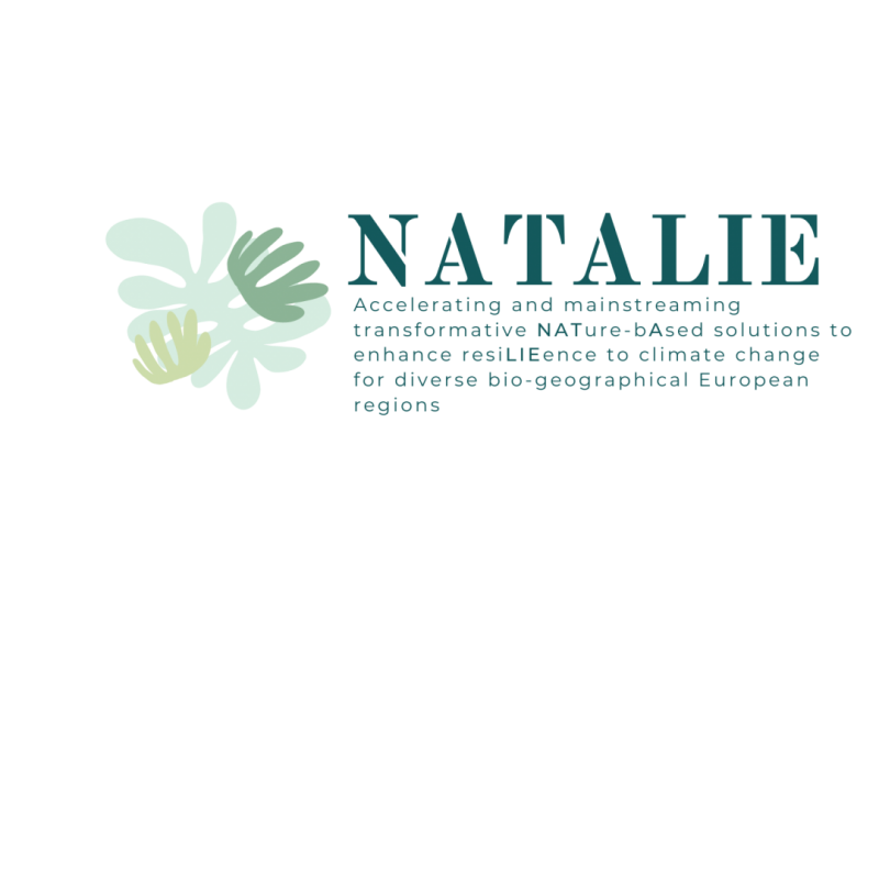 Projekta Natalie logo