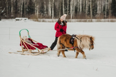 Ziemas izklaides ar poniji.lv