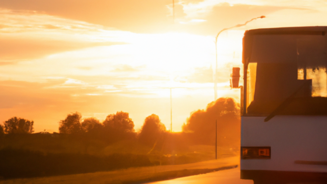 bus