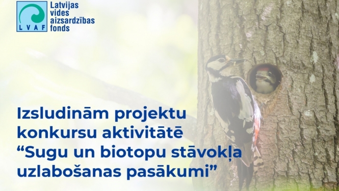 LVAF projektu konkursa vizuālis