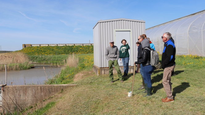 Mākslīgais mitrājs zemnieku saimniecībā "Mežacīruļi"