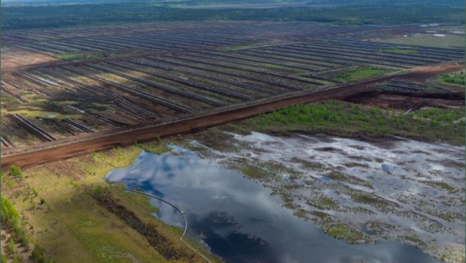 VARAM sabiedriskajai apspriešanai nodod noteikumu projektu par vēsturisko kūdras ieguves vietu atjaunošanu