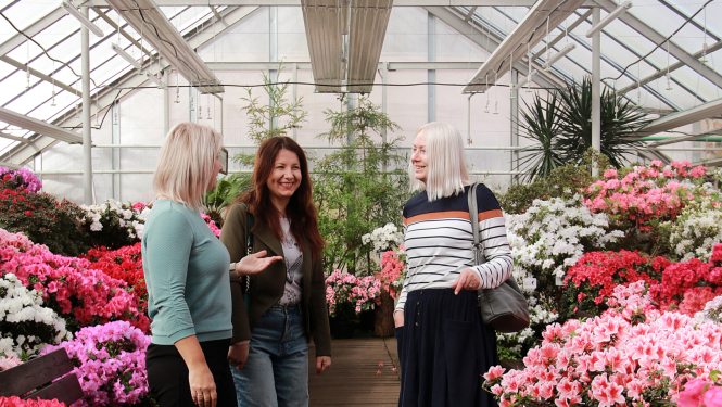 Partneru tikšanās projektā Interactive Gardens