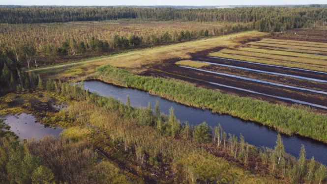 Attēla redzama vēsturiska kūdras ieguves vieta