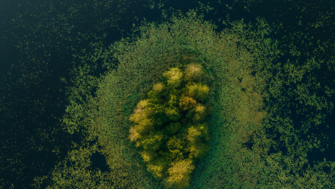 Publicitātes attēls