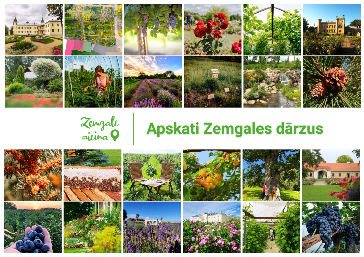 Zemgales dārzi_kopbilde