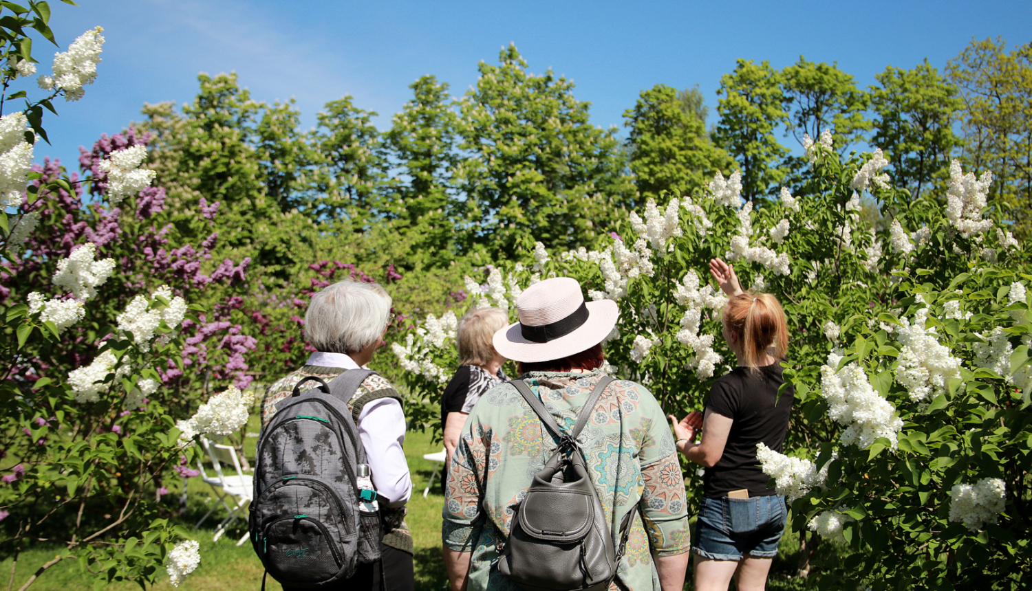 Interactive Gardens ceriņu meistarklase Dārzkopības institūtā