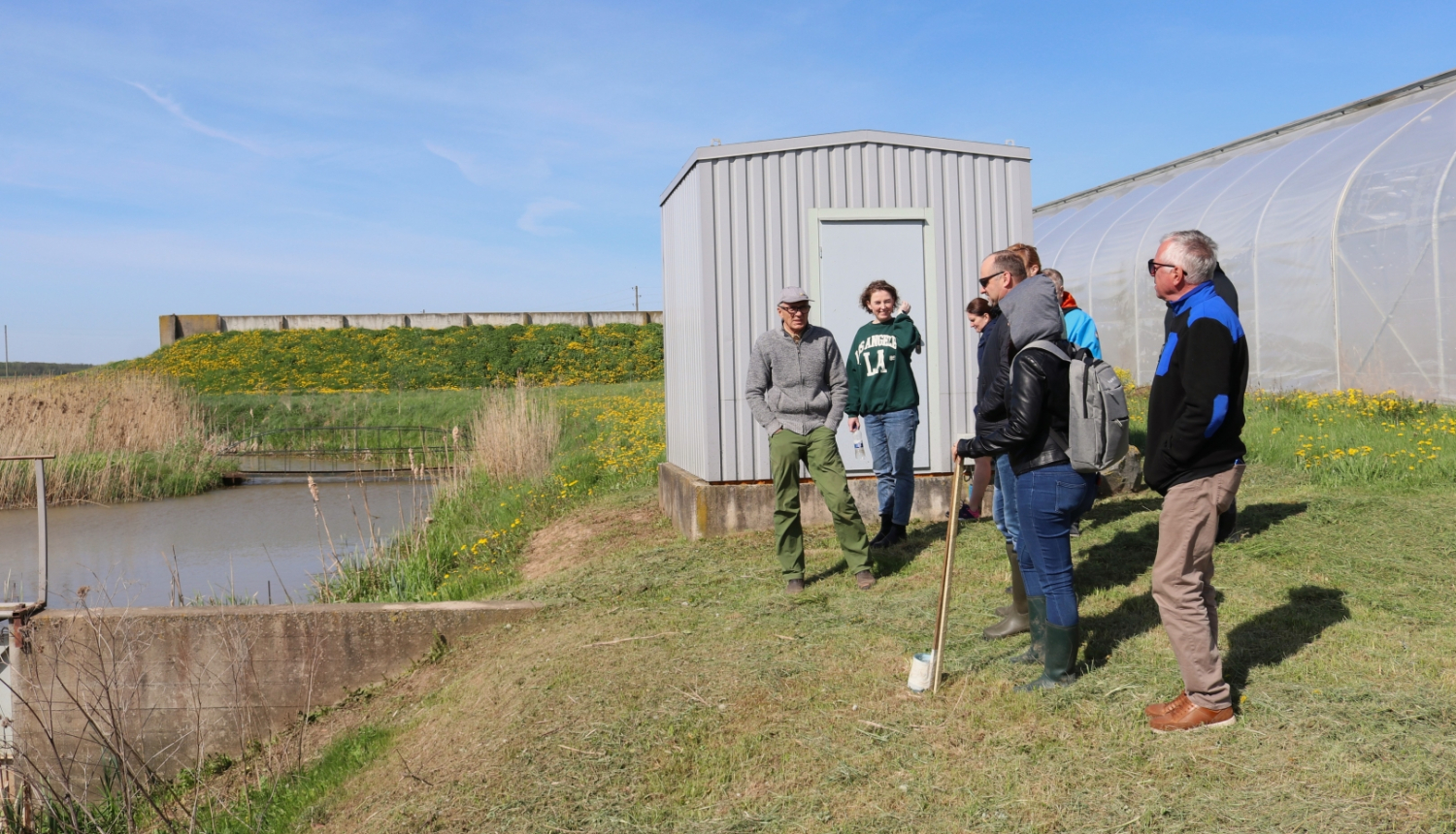 Mākslīgais mitrājs zemnieku saimniecībā "Mežacīruļi"