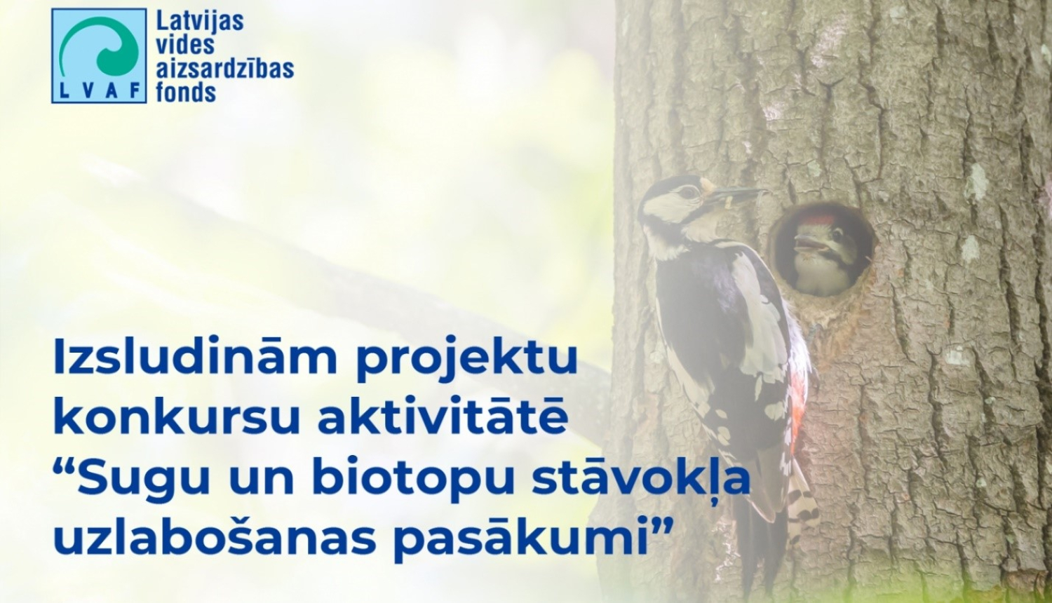 LVAF projektu konkursa vizuālis