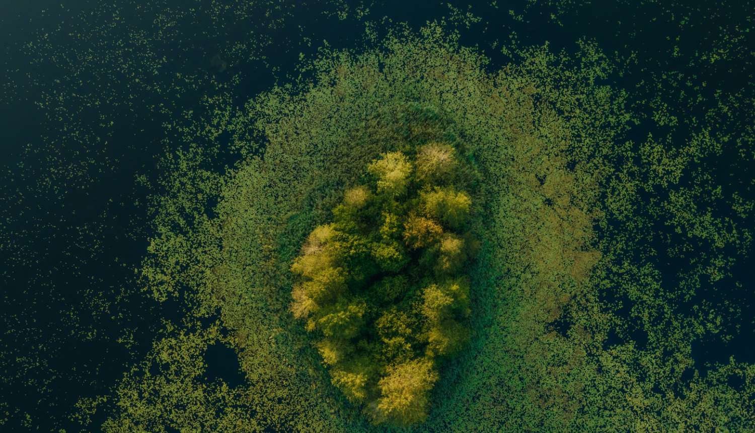 Publicitātes attēls