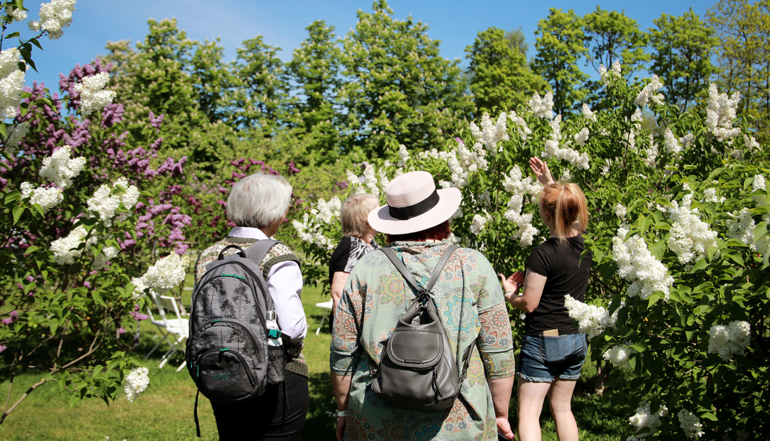 Interactive Gardens ceriņu meistarklase Dārzkopības institūtā