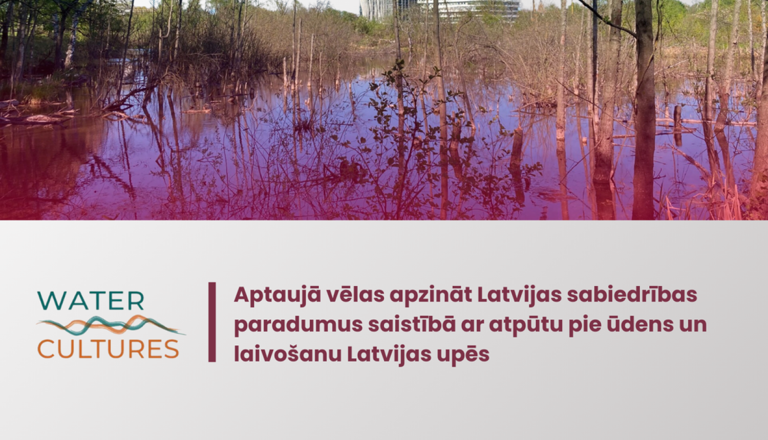 LU aptauja