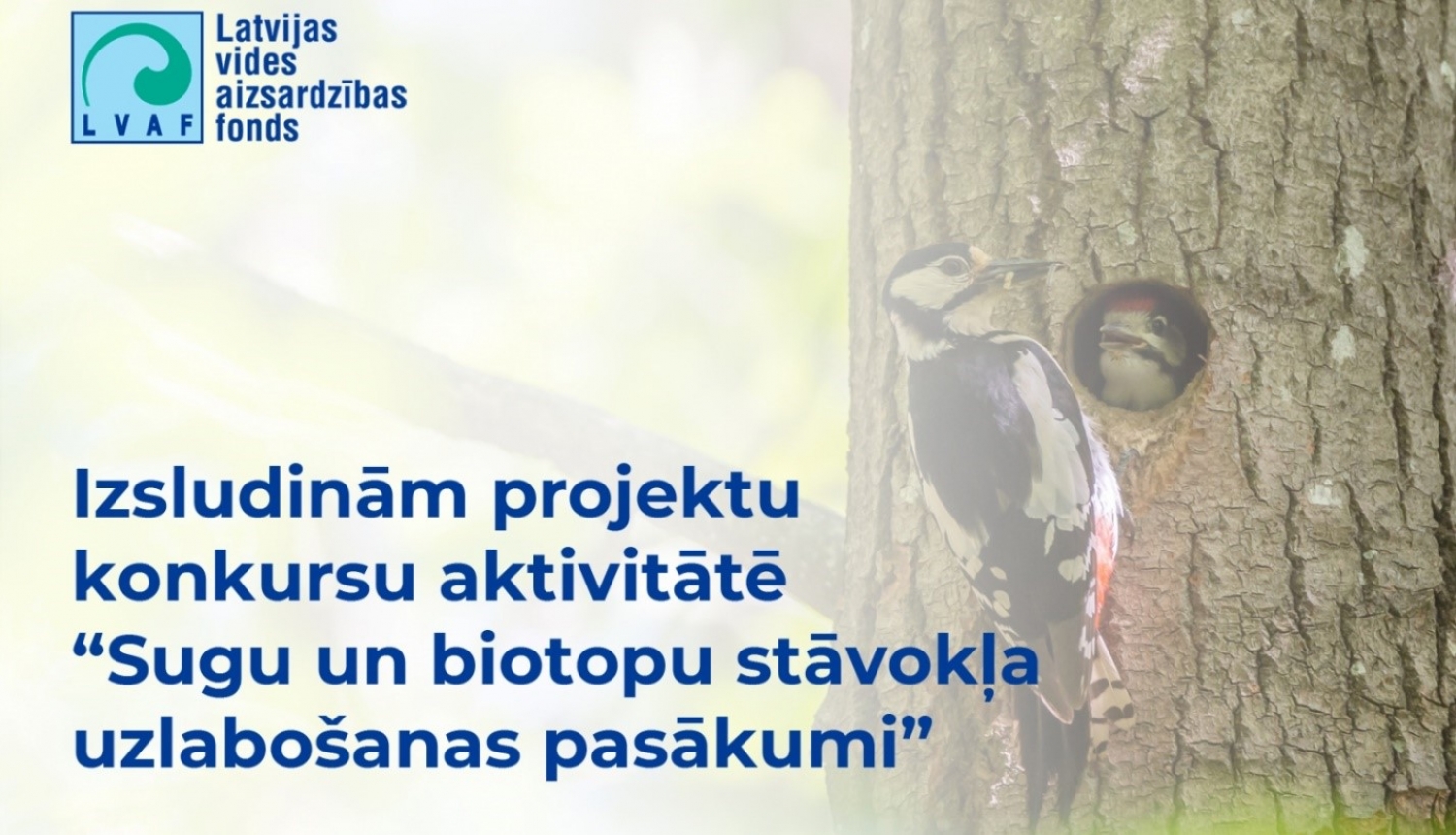 LVAF projektu konkursa vizuālis